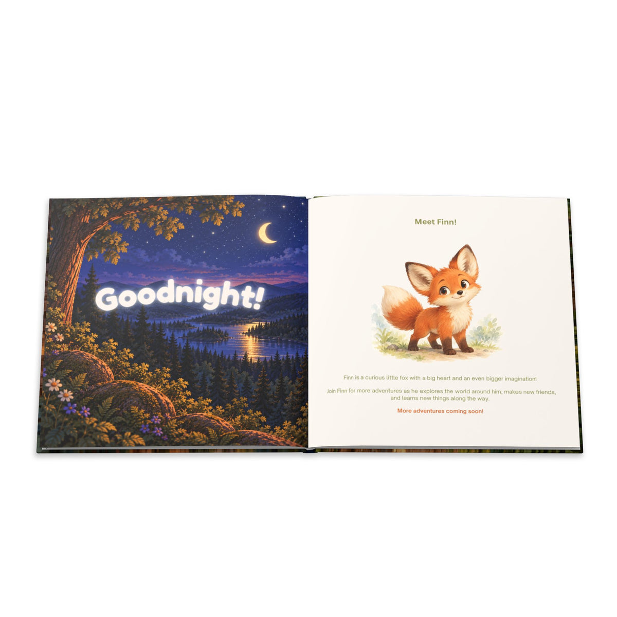 The Adventures of Finn: Book One - The Sleepy Forest
